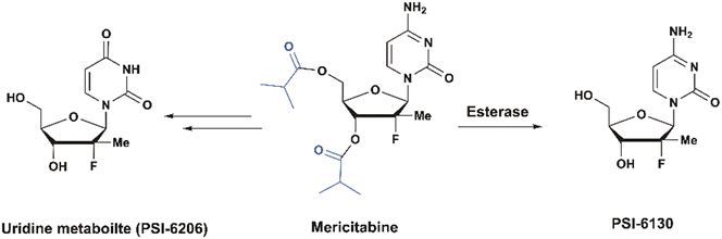 image file: d5md00810g-f9.tif