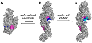 image file: d5md00815h-f1.tif