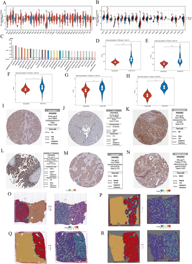 image file: d5md00834d-f1.tif