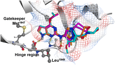 image file: d5md00856e-f1.tif