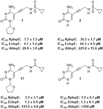 image file: d5md00874c-f3.tif