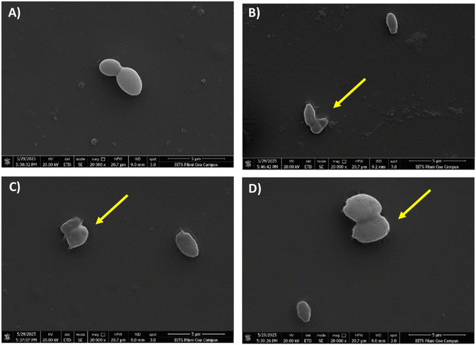image file: d5md00907c-f3.tif