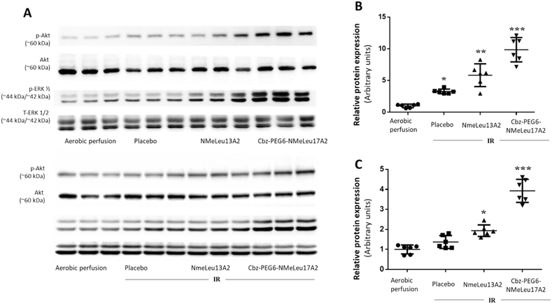 image file: d5md00985e-f4.tif