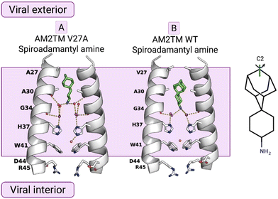 image file: d5md01027f-f3.tif