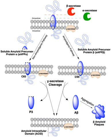 image file: d5md01095k-f1.tif