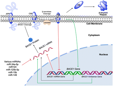 image file: d5md01095k-f13.tif