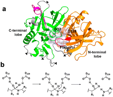 image file: d5md01095k-f4.tif