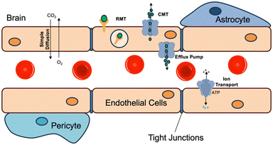 image file: d5md01095k-f6.tif