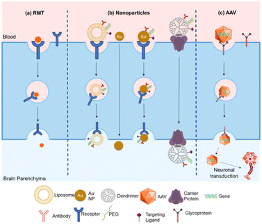 image file: d5md01095k-f7.tif