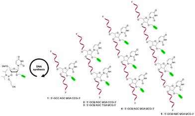 image file: d5md01167a-s1.tif