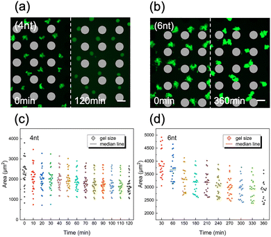 image file: d5mh01304f-f3.tif