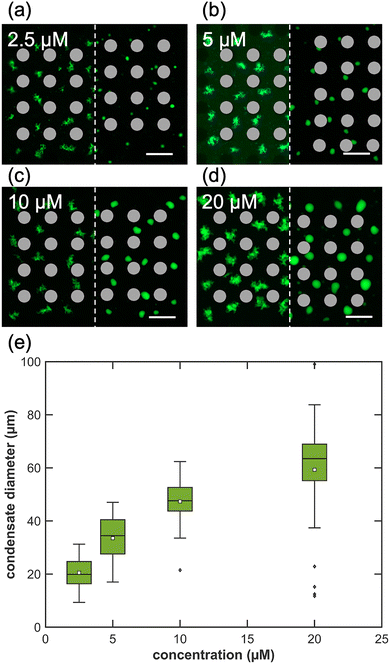 image file: d5mh01304f-f5.tif