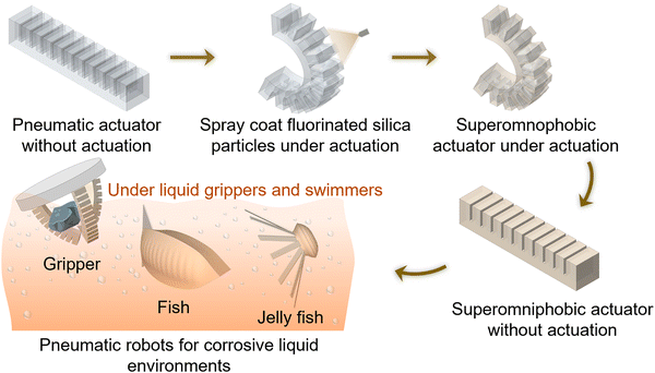image file: d5mh01593f-f1.tif