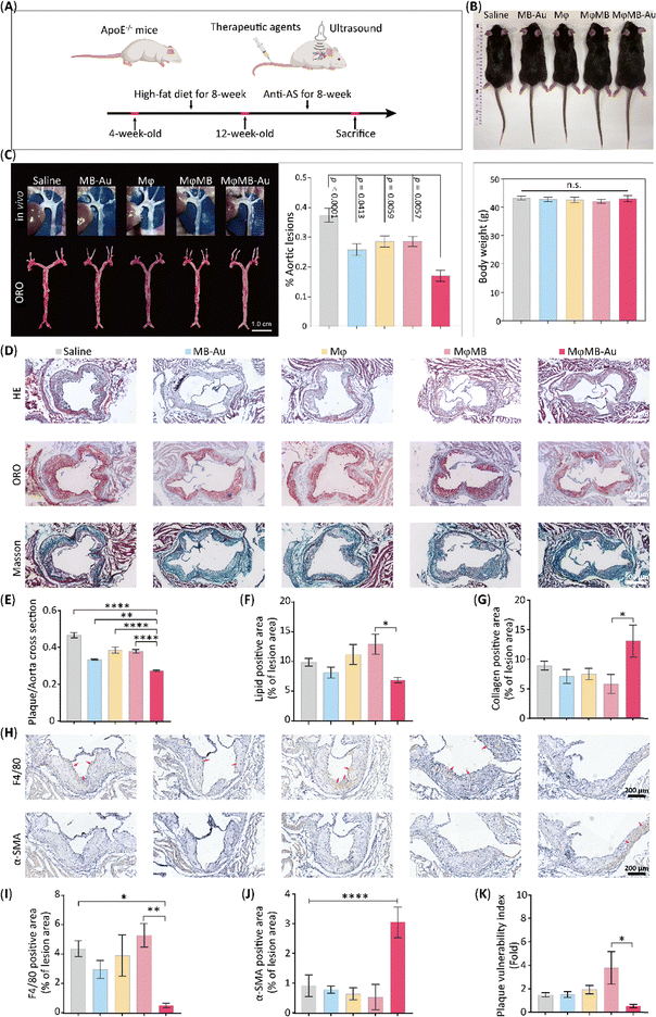 image file: d5mh01682g-f5.tif