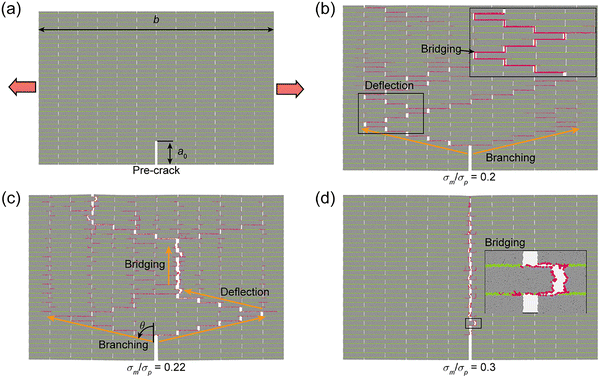 image file: d5mh01962a-f5.tif