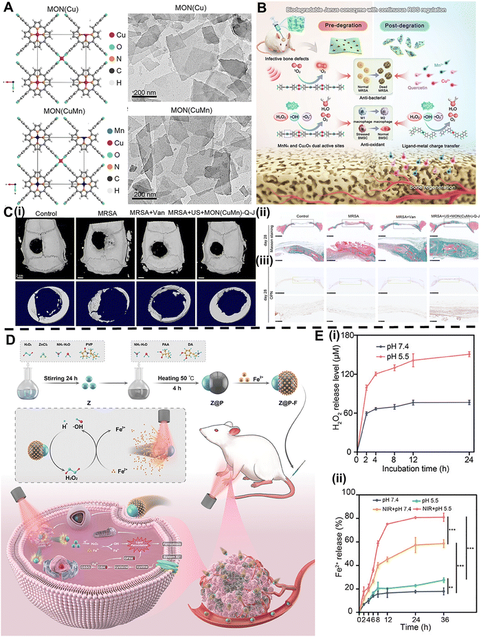 Precise control of metal–ligand interactions: advanced chelation
