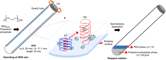 image file: d5mr00093a-f1.tif