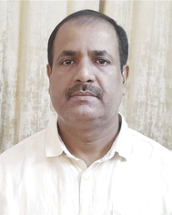 image file: d4na01054j-p3.tif