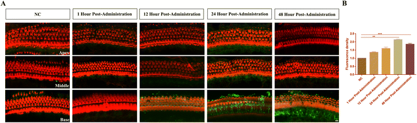 image file: d5na00419e-f5.tif