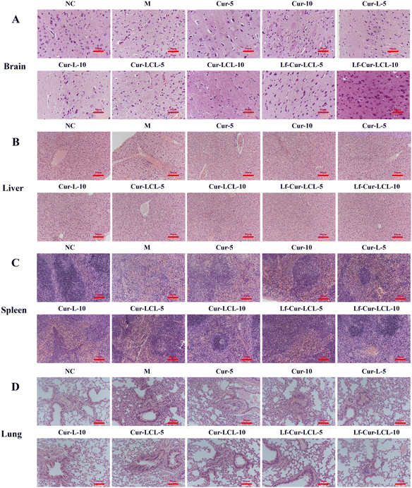 image file: d5na00521c-f8.tif