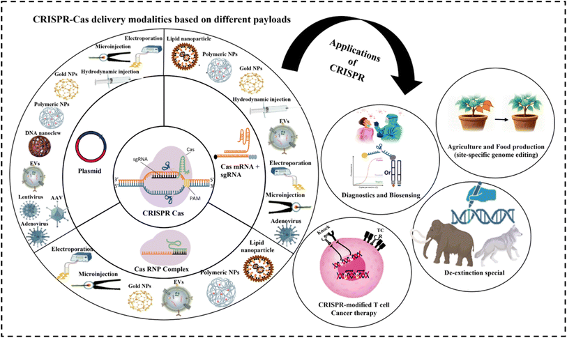 image file: d5na00535c-f2.tif