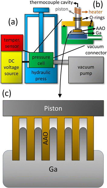 image file: d5na00640f-f3.tif