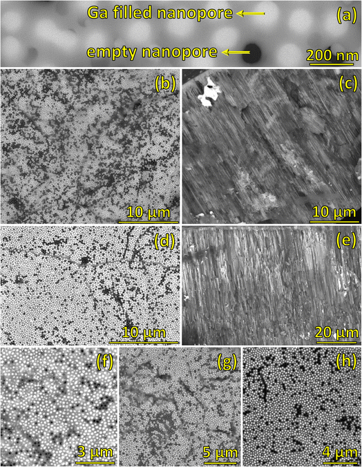 image file: d5na00640f-f4.tif