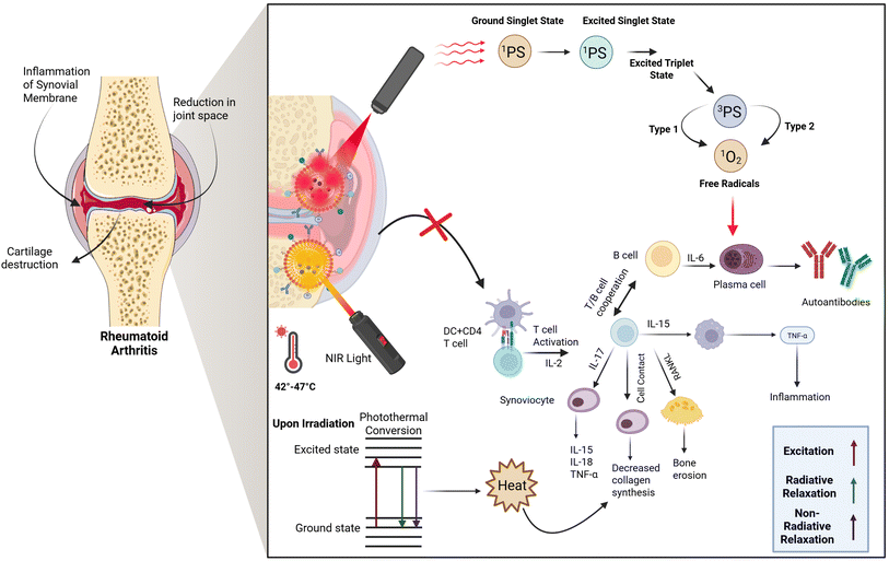 image file: d5na00671f-f1.tif