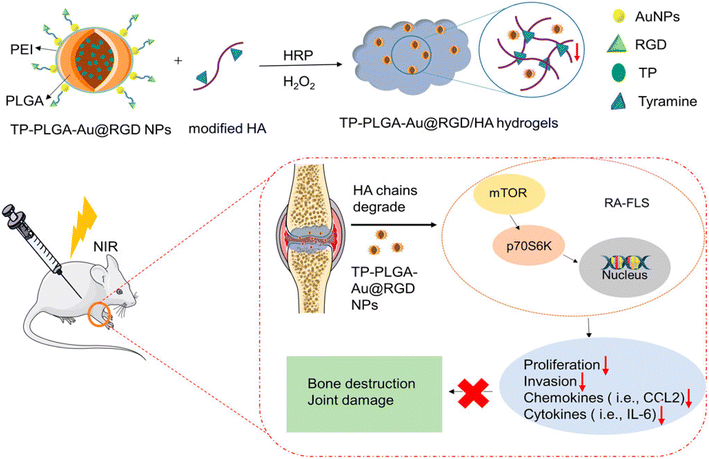 image file: d5na00671f-f2.tif