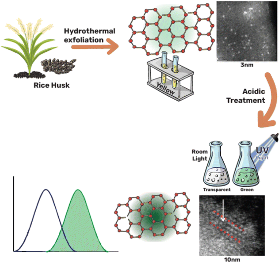 image file: d5na00705d-s1.tif