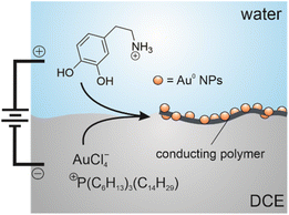 image file: d5na00744e-s1.tif