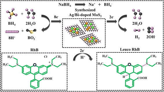 image file: d5na00763a-f2.tif