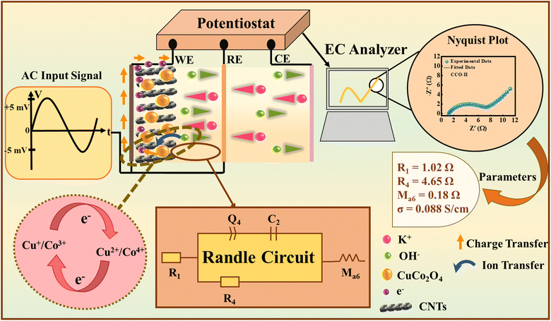 image file: d5na00916b-f7.tif