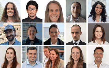 image file: d5na00940e-p1.tif