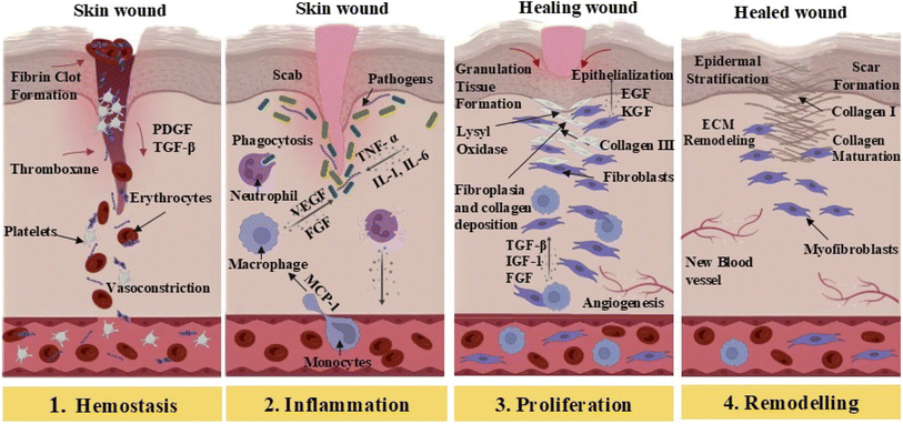image file: d5na00945f-f1.tif