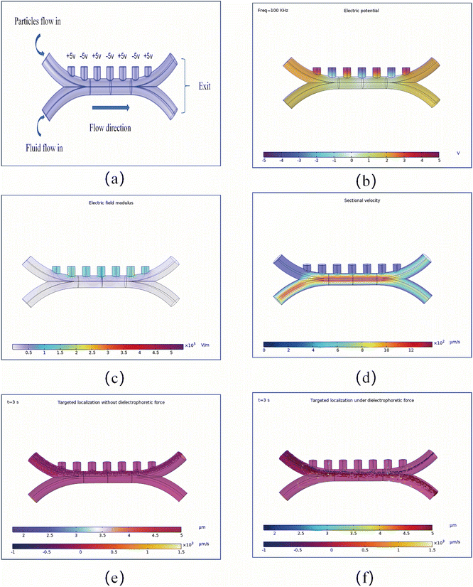 image file: d5na00955c-f4.tif