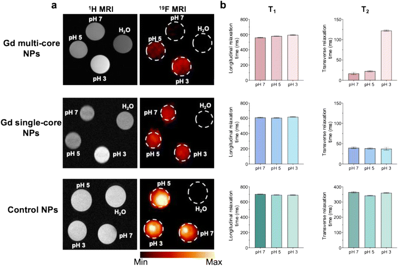 image file: d5na01005e-f2.tif