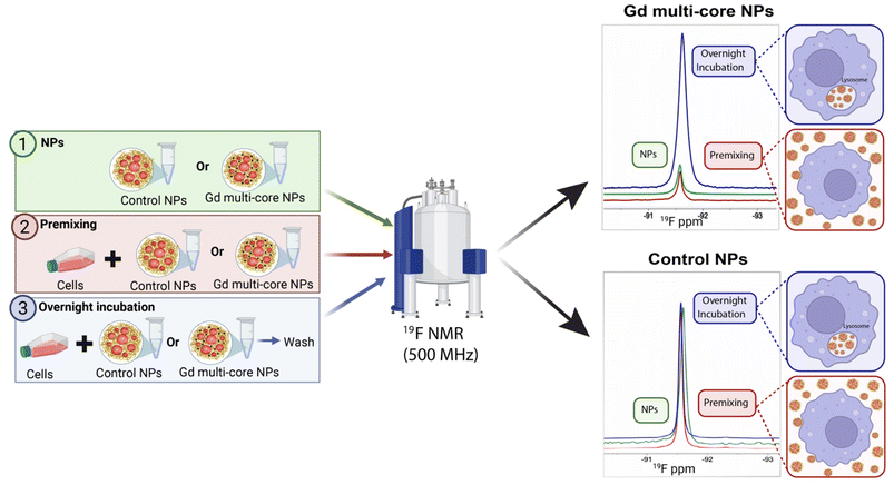image file: d5na01005e-f6.tif