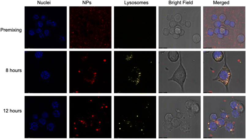 image file: d5na01005e-f7.tif