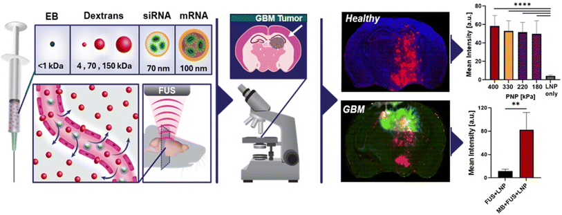 image file: d5na01046b-f5.tif