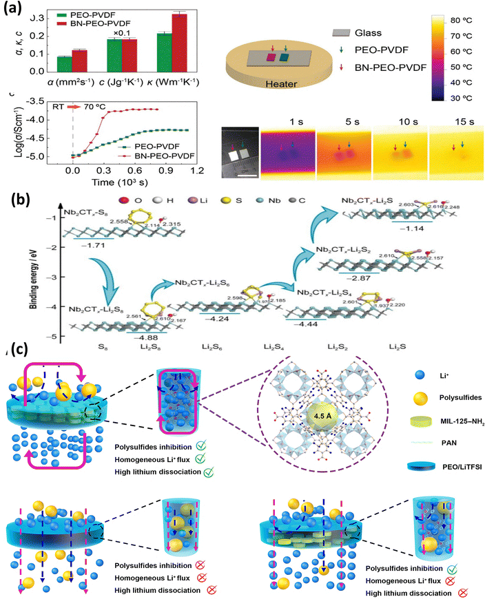 image file: d5nh00390c-f20.tif