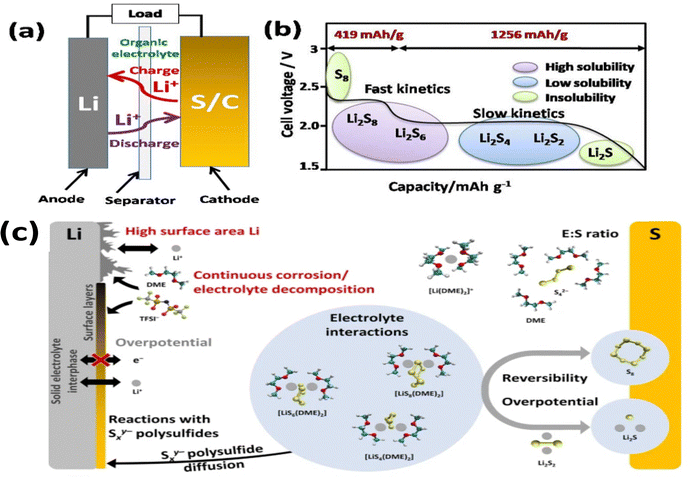 image file: d5nh00390c-f3.tif