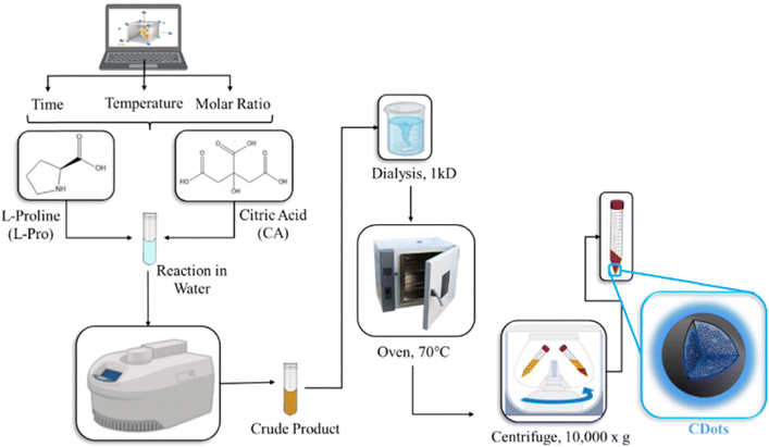 image file: d5nj04463d-s1.tif