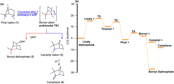 image file: d5np00064e-s1.tif