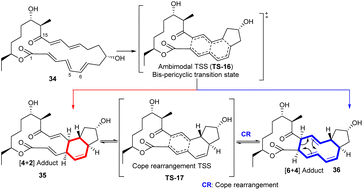 image file: d5np00064e-s5.tif