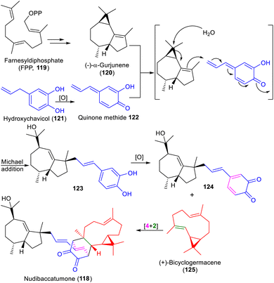 image file: d5np00065c-s15.tif