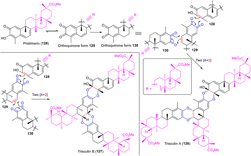 image file: d5np00065c-s16.tif