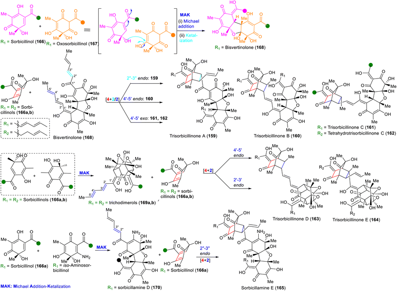 image file: d5np00065c-s20.tif