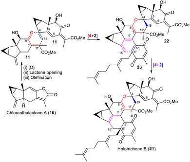 image file: d5np00065c-s3.tif