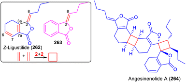 image file: d5np00065c-s33.tif